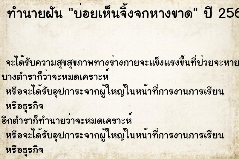 ทำนายฝันบ่อยเห็นจิ้งจกหางขาด ทำนายฝันทำนายฝันบ่อยเห็นจิ้งจกหางขาด