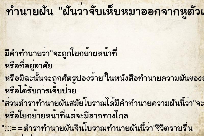 ทำนายฝัน ฝันว่าจับเห็บหมาออกจากหูตัวเอง ตำราโบราณ แม่นที่สุดในโลก