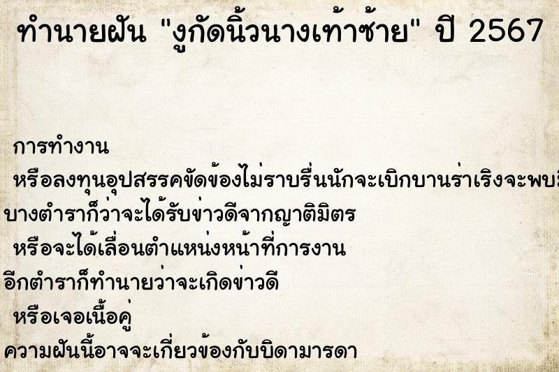 ทำนายฝันงูกัดนิ้วนางเท้าซ้าย ทำนายฝันทำนายฝันงูกัดนิ้วนางเท้าซ้าย