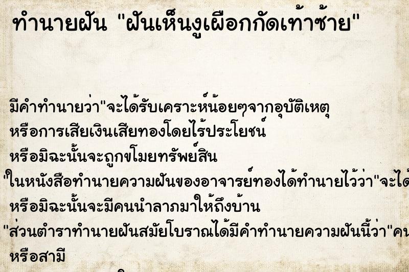 ทำนายฝัน ฝันเห็นงูเผือกกัดเท้าซ้าย ทำนายฝัน ฝันเห็นงูเผือกกัดเท้าซ้าย
