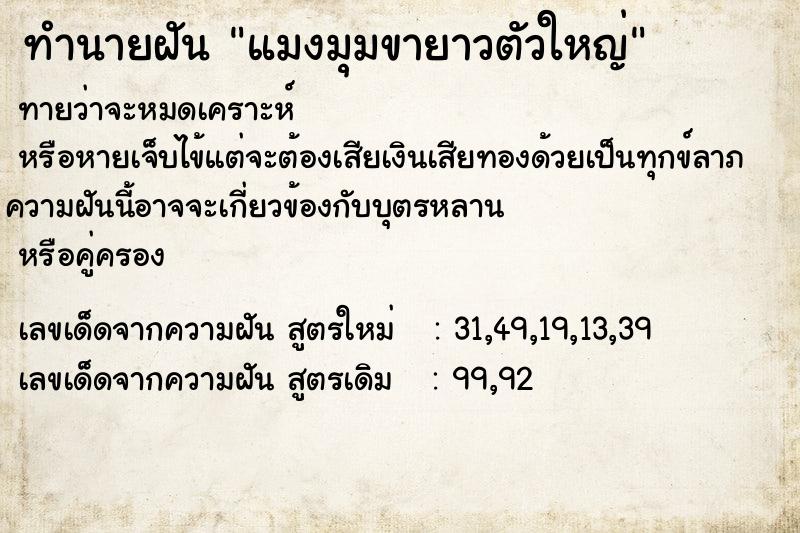 ทำนายฝันแมงมุมขายาวตัวใหญ่ ทำนายฝันทำนายฝันแมงมุมขายาวตัวใหญ่