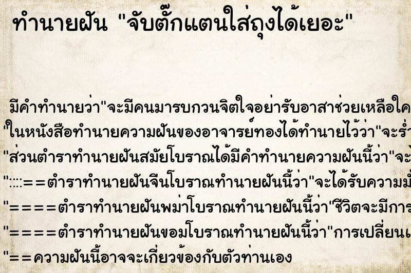 ทำนายฝัน จับตั๊กแตนใส่ถุงได้เยอะ ทำนายฝัน จับตั๊กแตนใส่ถุงได้เยอะ