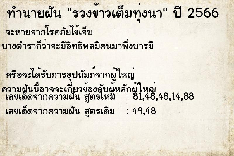 ทำนายฝัน รวงข้าวเต็มทุ่งนา