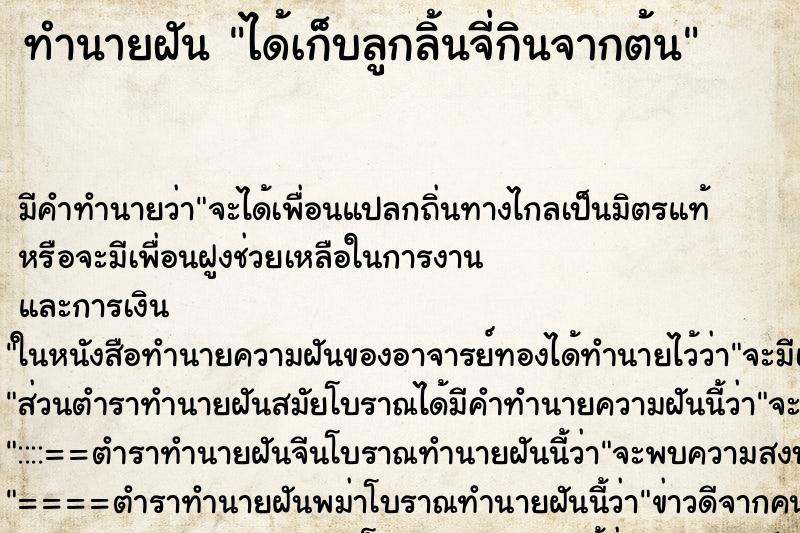 ทำนายฝัน ได้เก็บลูกลิ้นจี่กินจากต้น ตำราโบราณ แม่นที่สุดในโลก