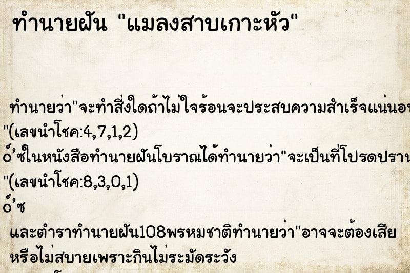 ทำนายฝัน แมลงสาบเกาะหัว ทำนายฝัน แมลงสาบเกาะหัว