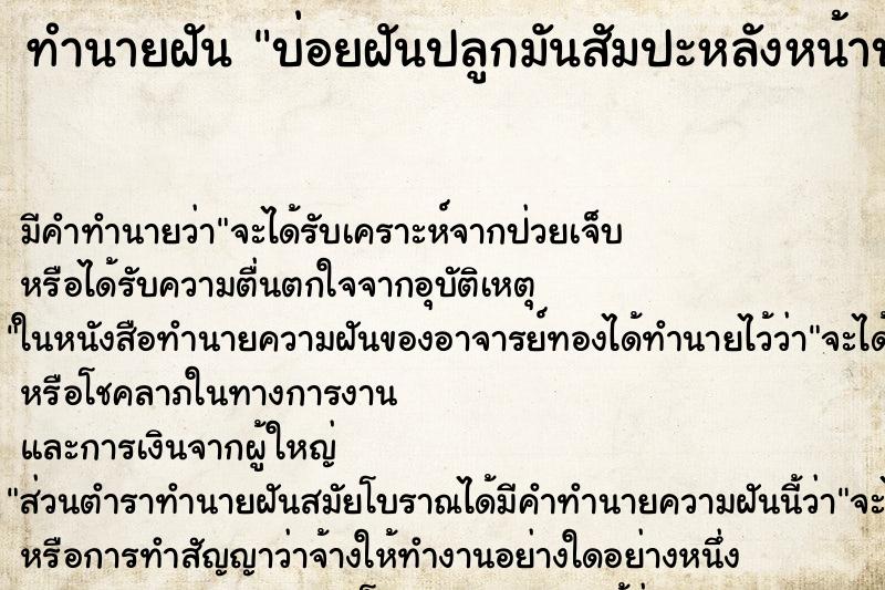 ทำนายฝัน บ่อยฝันปลูกมันสัมปะหลังหน้าบ้าน ทำนายฝัน บ่อยฝันปลูกมันสัมปะหลังหน้าบ้าน