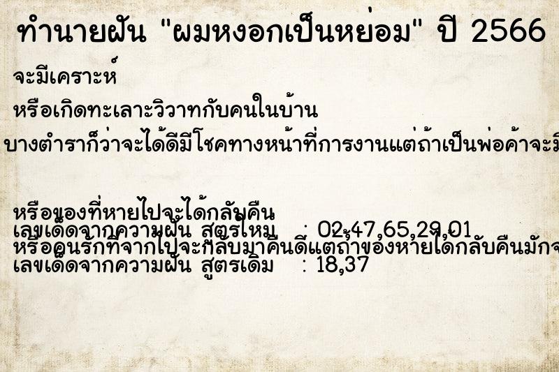 ทำนายฝันทำนายฝันผมหงอกเป็นหย่อม