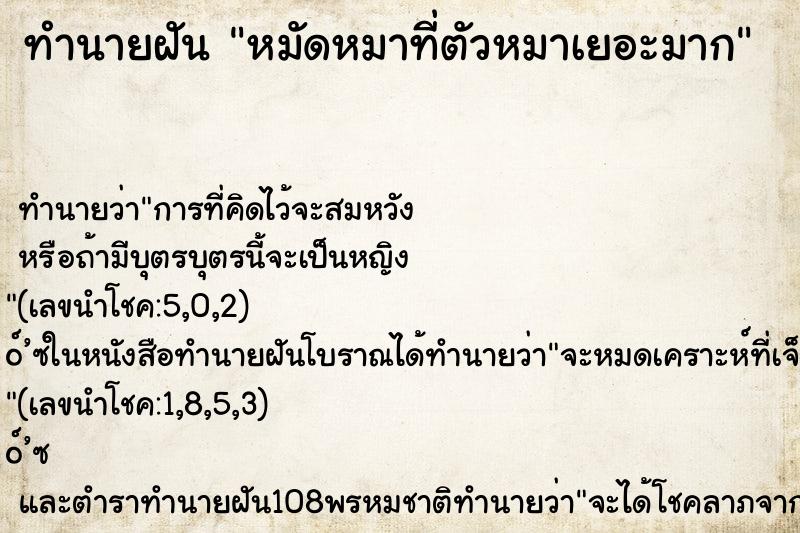 ทำนายฝัน หมัดหมาที่ตัวหมาเยอะมาก