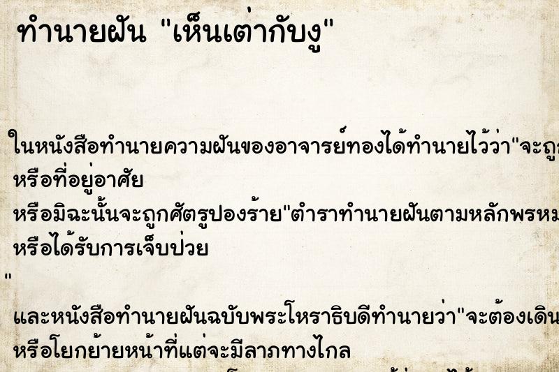 ทำนายฝัน เห็นเต่ากับงู ทำนายฝัน เห็นเต่ากับงู