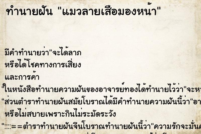 ทำนายฝัน แมวลายเสือมองหน้า ทำนายฝัน แมวลายเสือมองหน้า