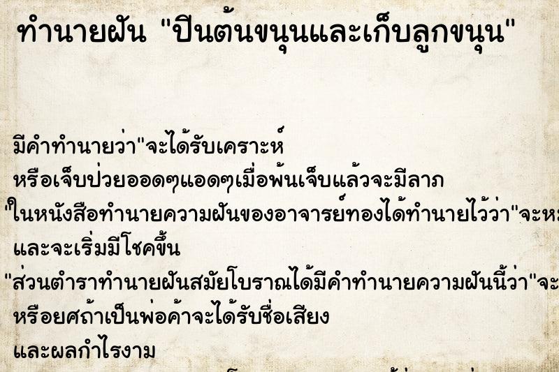 ทำนายฝัน ปีนต้นขนุนและเก็บลูกขนุน