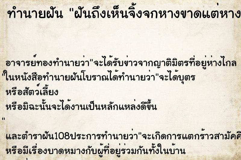 ทำนายฝันทำนายฝันฝันถึงเห็นจิ้งจกหางขาดแต่หางงอกใหม่