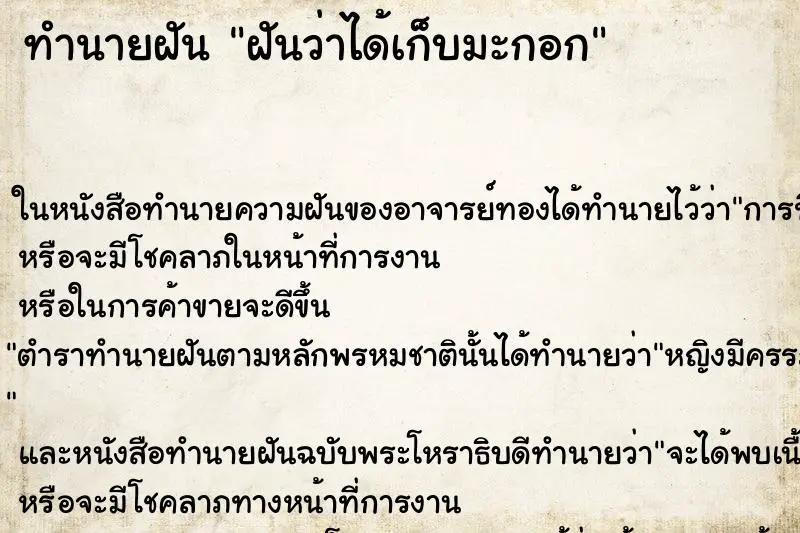 ทำนายฝัน ฝันว่าได้เก็บมะกอก ทำนายฝัน ฝันว่าได้เก็บมะกอก