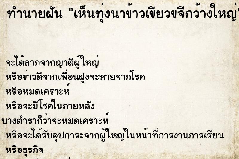 ทำนายฝันทำนายฝันเห็นทุ่งนาข้าวเขียวขจีกว้างใหญ่