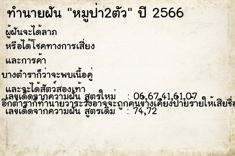 ทำนายฝัน หมูป่า2ตัว