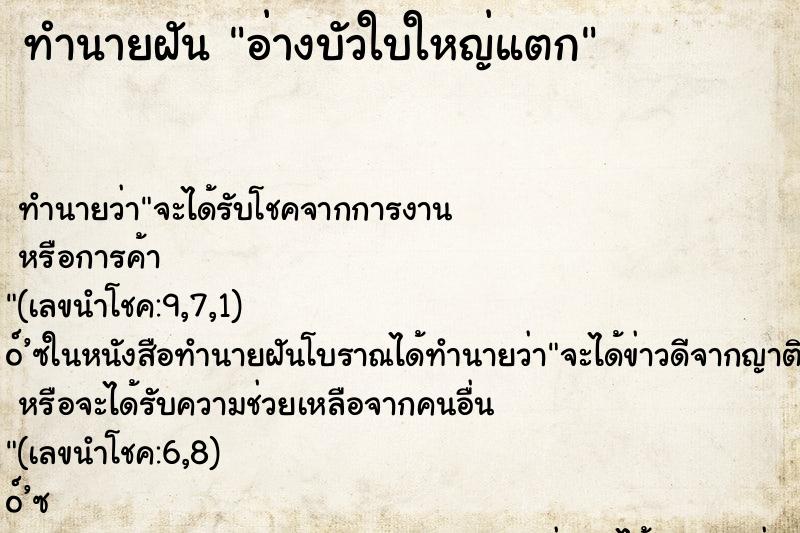 ทำนายฝันอ่างบัวใบใหญ่แตก ทำนายฝันทำนายฝันอ่างบัวใบใหญ่แตก