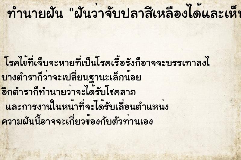 ทำนายฝันฝันว่าจับปลาสีเหลืองได้และเห็นปลาสวยงาม ทำนายฝันทำนายฝันฝันว่าจับปลาสีเหลืองได้และเห็นปลาสวยงาม