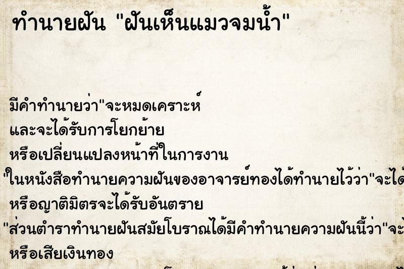 ทำนายฝัน ฝันเห็นแมวจมน้ำ ทำนายฝัน ฝันเห็นแมวจมน้ำ
