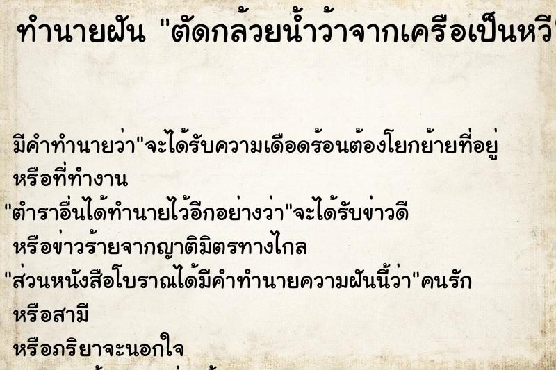 ทำนายฝันตัดกล้วยน้ำว้าจากเครือเป็นหวี ทำนายฝันทำนายฝันตัดกล้วยน้ำว้าจากเครือเป็นหวี