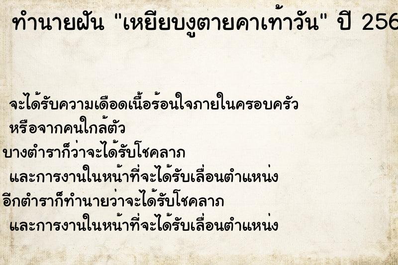 ทำนายฝัน เหยียบงูตายคาเท้าวัน ทำนายฝัน เหยียบงูตายคาเท้าวัน