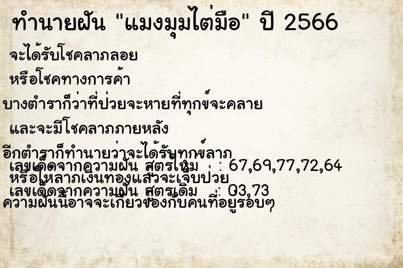 ทำนายฝัน แมงมุมไต่มือ
