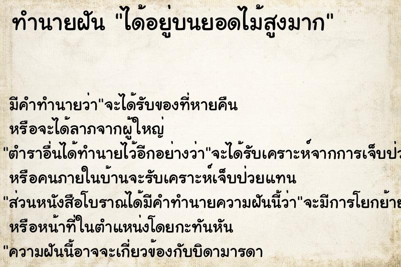 ทำนายฝันทำนายฝันได้อยู่บนยอดไม้สูงมาก