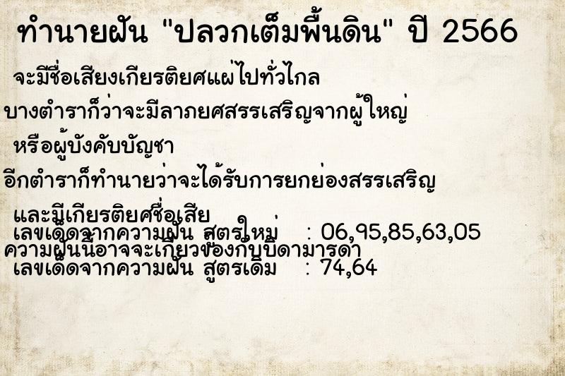 ทำนายฝัน ปลวกเต็มพื้นดิน ทำนายฝัน ปลวกเต็มพื้นดิน