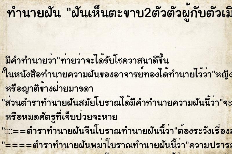 ทำนายฝัน ฝันเห็นตะขาบ2ตัวตัวผู้กับตัวเมียฝันวัน ตำราโบราณ แม่นที่สุดในโลก