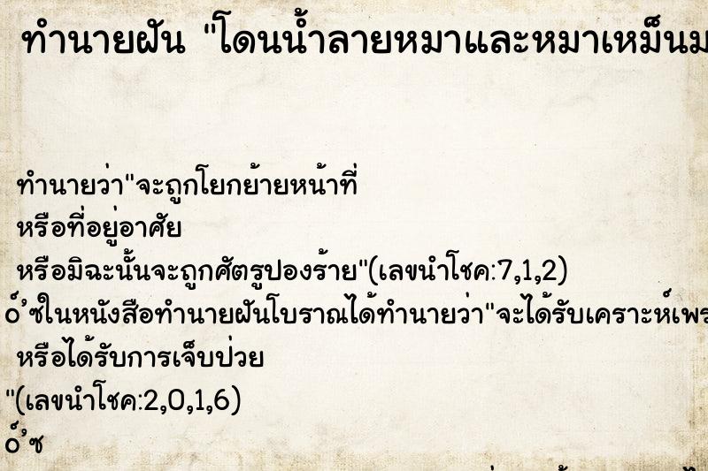 ทำนายฝัน โดนน้ำลายหมาและหมาเหม็นมา ทำนายฝัน โดนน้ำลายหมาและหมาเหม็นมา