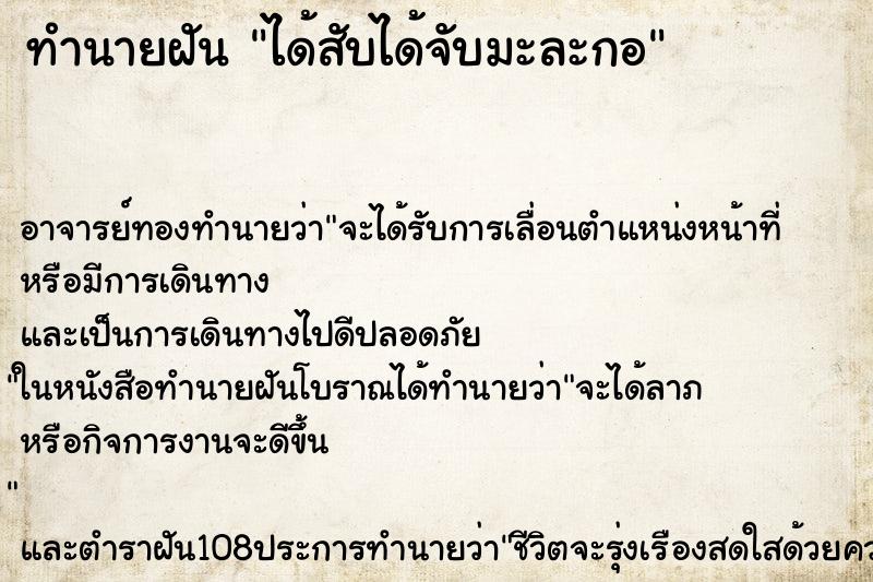 ทำนายฝัน ได้สับได้จับมะละกอ ทำนายฝัน ได้สับได้จับมะละกอ