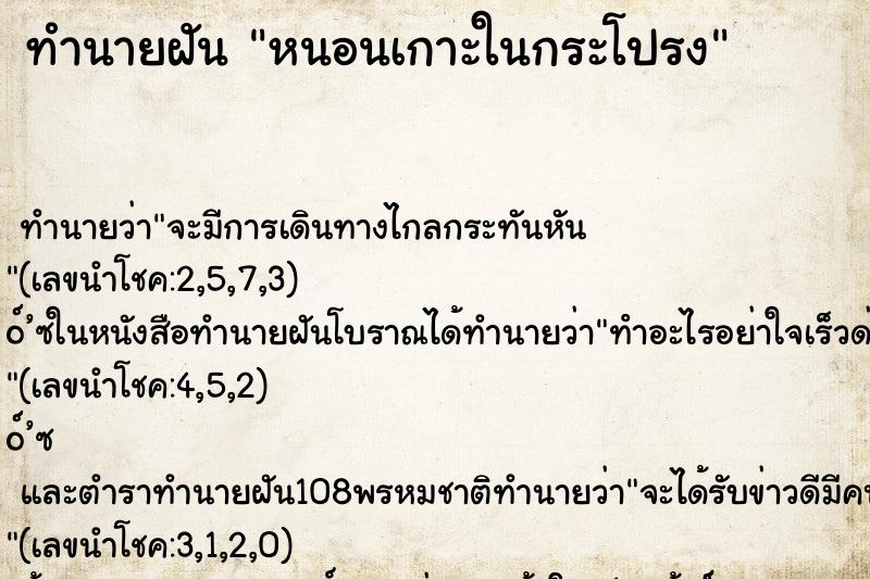 ทำนายฝันหนอนเกาะในกระโปรง ทำนายฝันทำนายฝันหนอนเกาะในกระโปรง