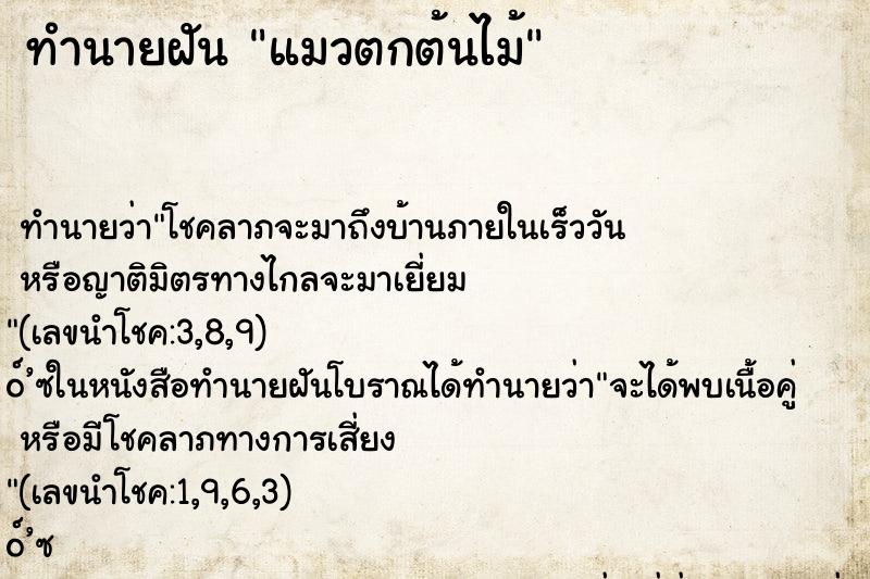 ทำนายฝัน แมวตกต้นไม้ ทำนายฝัน แมวตกต้นไม้