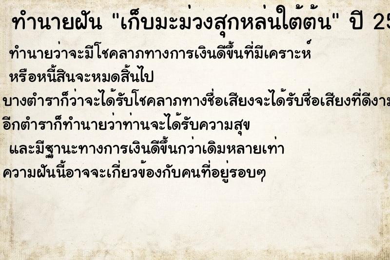 ทำนายฝัน เก็บมะม่วงสุกหล่นใต้ต้น ทำนายฝัน เก็บมะม่วงสุกหล่นใต้ต้น
