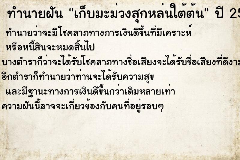 ทำนายฝัน เก็บมะม่วงสุกหล่นใต้ต้น ตำราโบราณ แม่นที่สุดในโลก