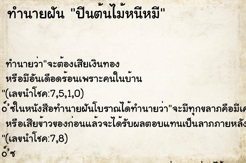 ทำนายฝันปีนต้นไม้หนีหมี ทำนายฝันทำนายฝันปีนต้นไม้หนีหมี