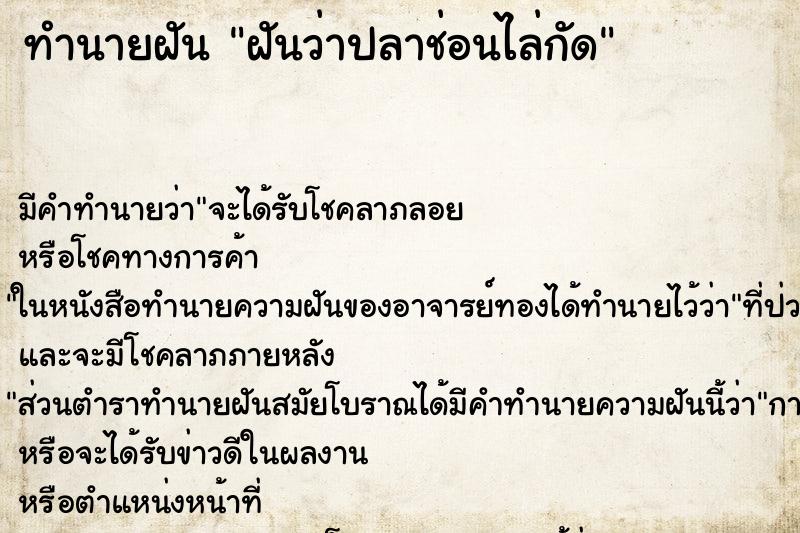 ทำนายฝัน ฝันว่าปลาช่อนไล่กัด ทำนายฝัน ฝันว่าปลาช่อนไล่กัด