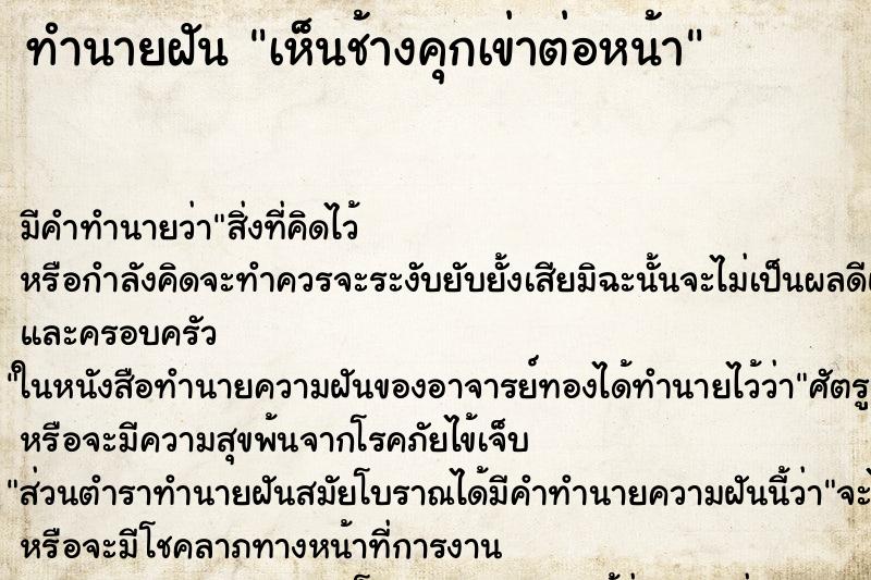 ทำนายฝัน เห็นช้างคุกเข่าต่อหน้า ทำนายฝัน เห็นช้างคุกเข่าต่อหน้า