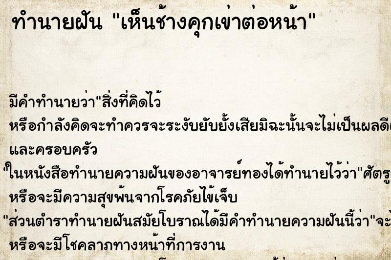 ทำนายฝัน เห็นช้างคุกเข่าต่อหน้า ตำราโบราณ แม่นที่สุดในโลก