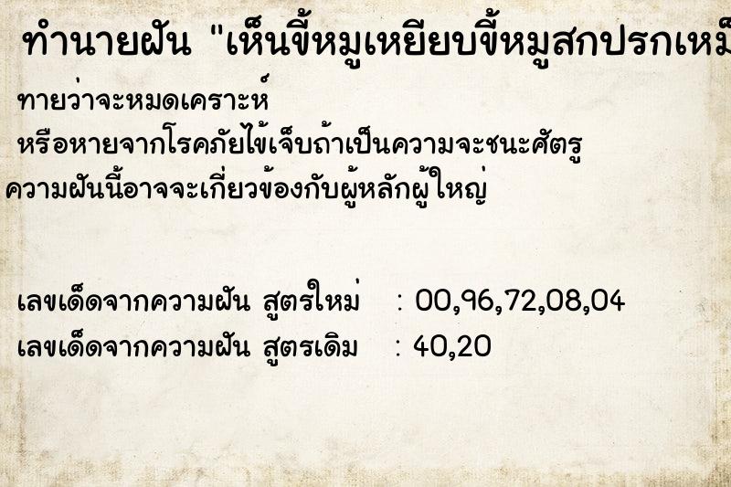 ทำนายฝัน เห็นขี้หมูเหยียบขี้หมูสกปรกเหม็น ทำนายฝัน เห็นขี้หมูเหยียบขี้หมูสกปรกเหม็น