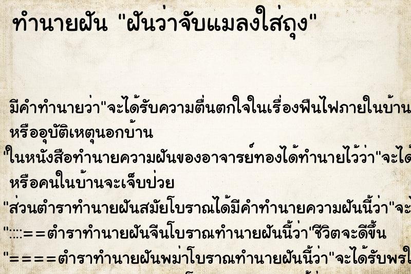 ทำนายฝันฝันว่าจับแมลงใส่ถุง ทำนายฝันทำนายฝันฝันว่าจับแมลงใส่ถุง