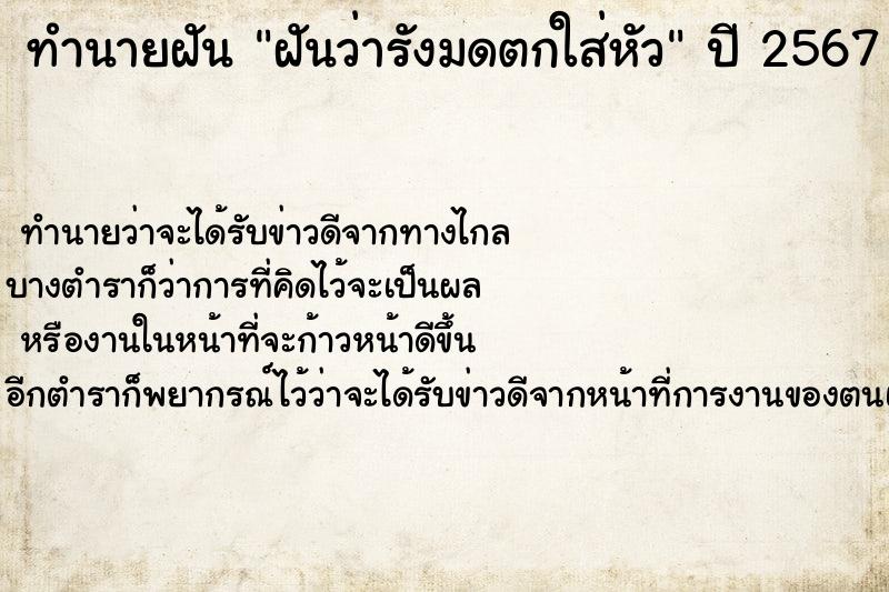 ทำนายฝัน ฝันว่ารังมดตกใส่หัว ตำราโบราณ แม่นที่สุดในโลก