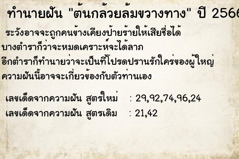 ทำนายฝันต้นกล้วยล้มขวางทาง ทำนายฝันทำนายฝันต้นกล้วยล้มขวางทาง