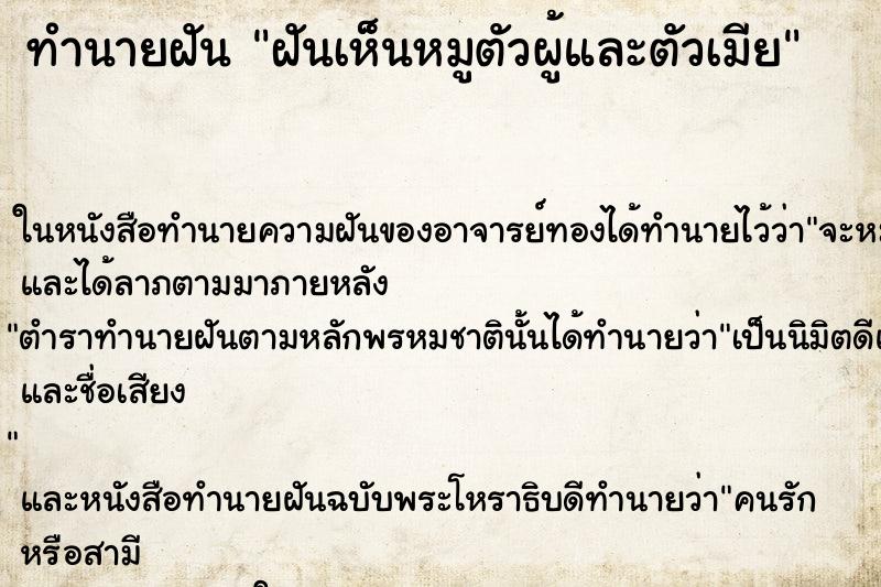 ทำนายฝันฝันเห็นหมูตัวผู้และตัวเมีย ทำนายฝันทำนายฝันฝันเห็นหมูตัวผู้และตัวเมีย