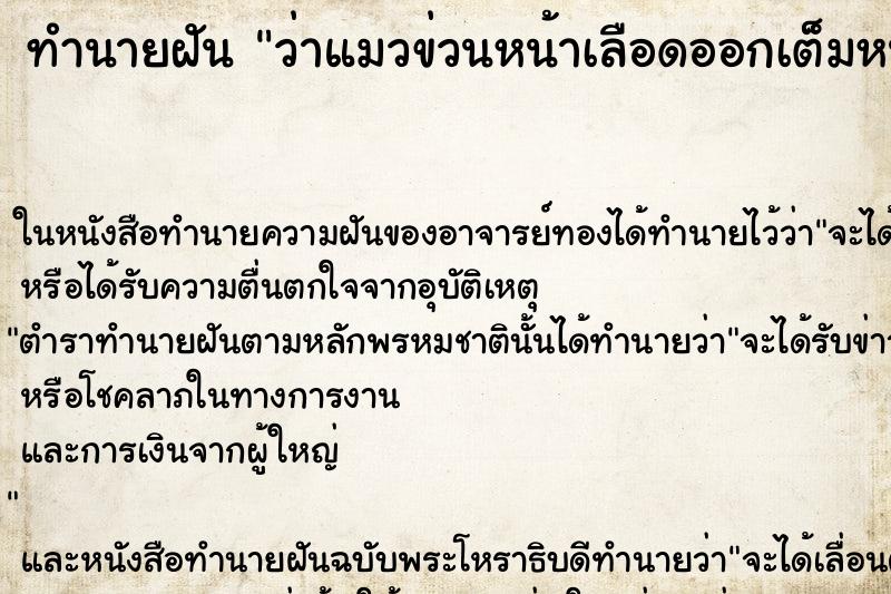 ทำนายฝัน ว่าแมวข่วนหน้าเลือดออกเต็มหน้า ทำนายฝัน ว่าแมวข่วนหน้าเลือดออกเต็มหน้า