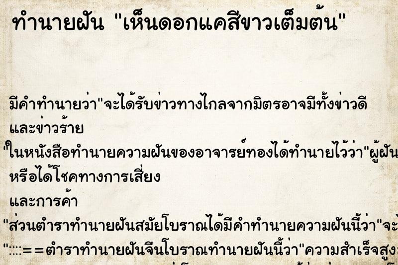 ทำนายฝัน เห็นดอกแคสีขาวเต็มต้น ทำนายฝัน เห็นดอกแคสีขาวเต็มต้น