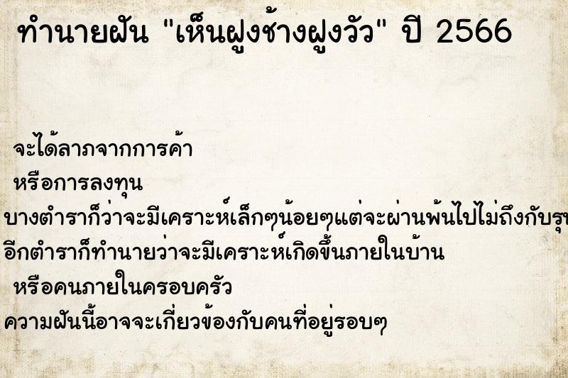 ทำนายฝันเห็นฝูงช้างฝูงวัว ทำนายฝันทำนายฝันเห็นฝูงช้างฝูงวัว