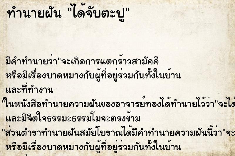 ทำนายฝัน ได้จับตะปู ทำนายฝัน ได้จับตะปู