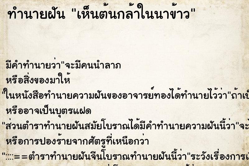ทำนายฝัน เห็นต้นกล้าในนาข้าว ทำนายฝัน เห็นต้นกล้าในนาข้าว