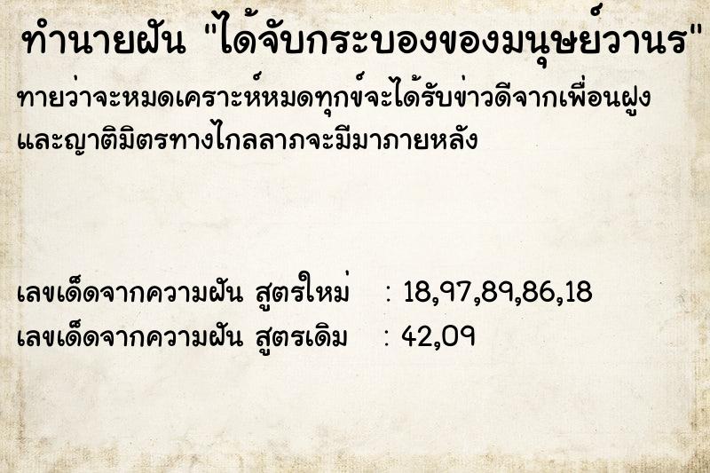 ทำนายฝัน ได้จับกระบองของมนุษย์วานร ทำนายฝัน ได้จับกระบองของมนุษย์วานร