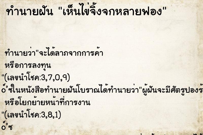 ทำนายฝัน เห็นไข่จิ้งจกหลายฟอง